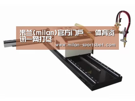 案例展示一
