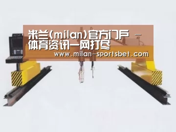 产品名称十七